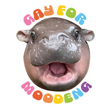 Load image into Gallery viewer, Gay For Moo Deng - Tee Shirt