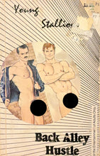 Load image into Gallery viewer, Young Stallions