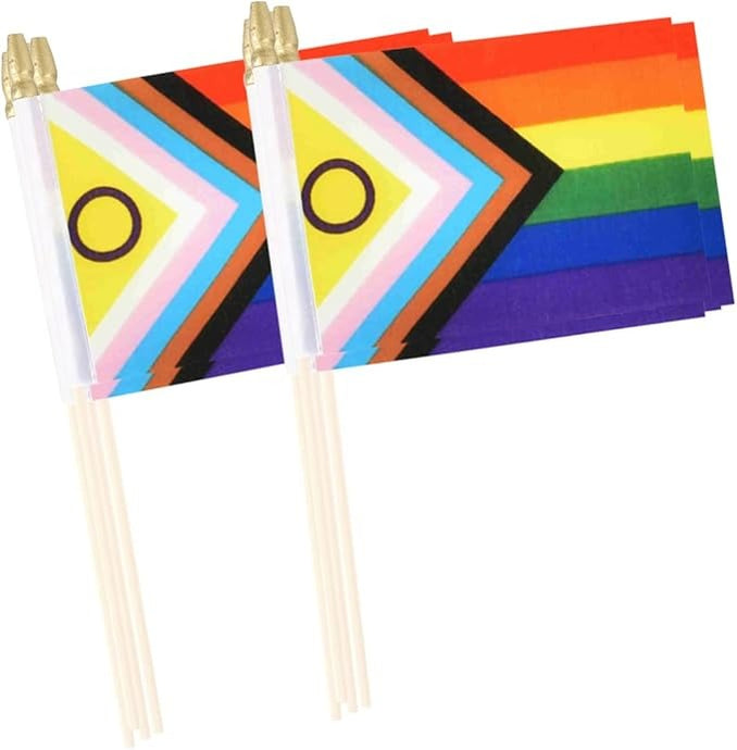 Mini Hand Held Intersex Rainbow Pride Flag