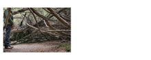 Load image into Gallery viewer, Daniel Case: Outside Sex - PREORDER