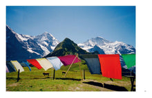 Load image into Gallery viewer, Walter Pfeiffer: Chez Walti: 2000–2022