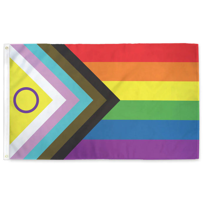 Intersex Progress Flag - 2 x 3