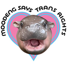 Load image into Gallery viewer, Moo Deng Says Trans Rights - Tee Shirt