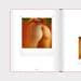 Load image into Gallery viewer, Instant Nudes