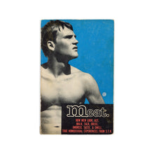 Load image into Gallery viewer, MEAT: True Homosexual Experiences from STH Writers