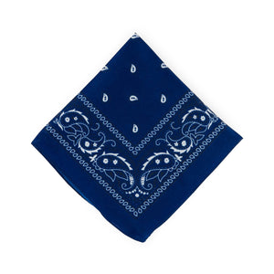 Little Gay Hankies
