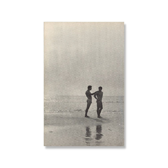 Beach Boys 11