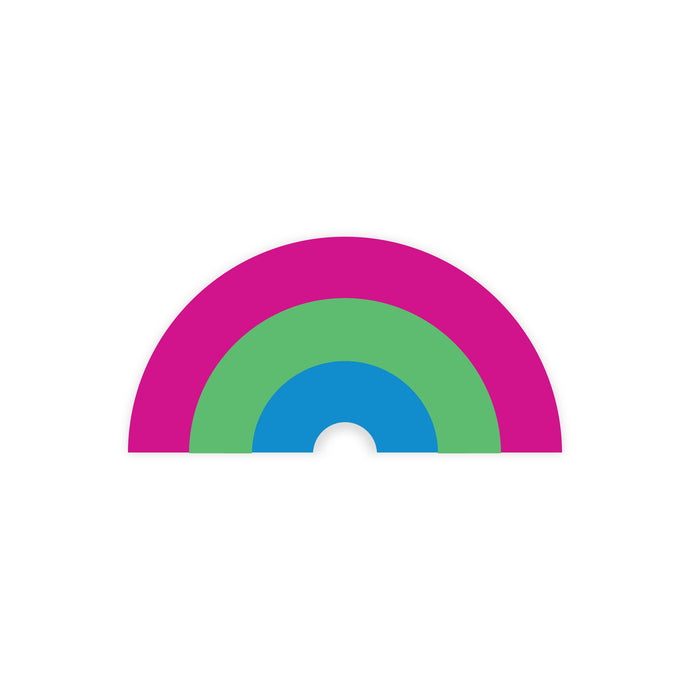 Polysexual Flag - Pride Rainbow