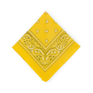 Little Gay Hankies